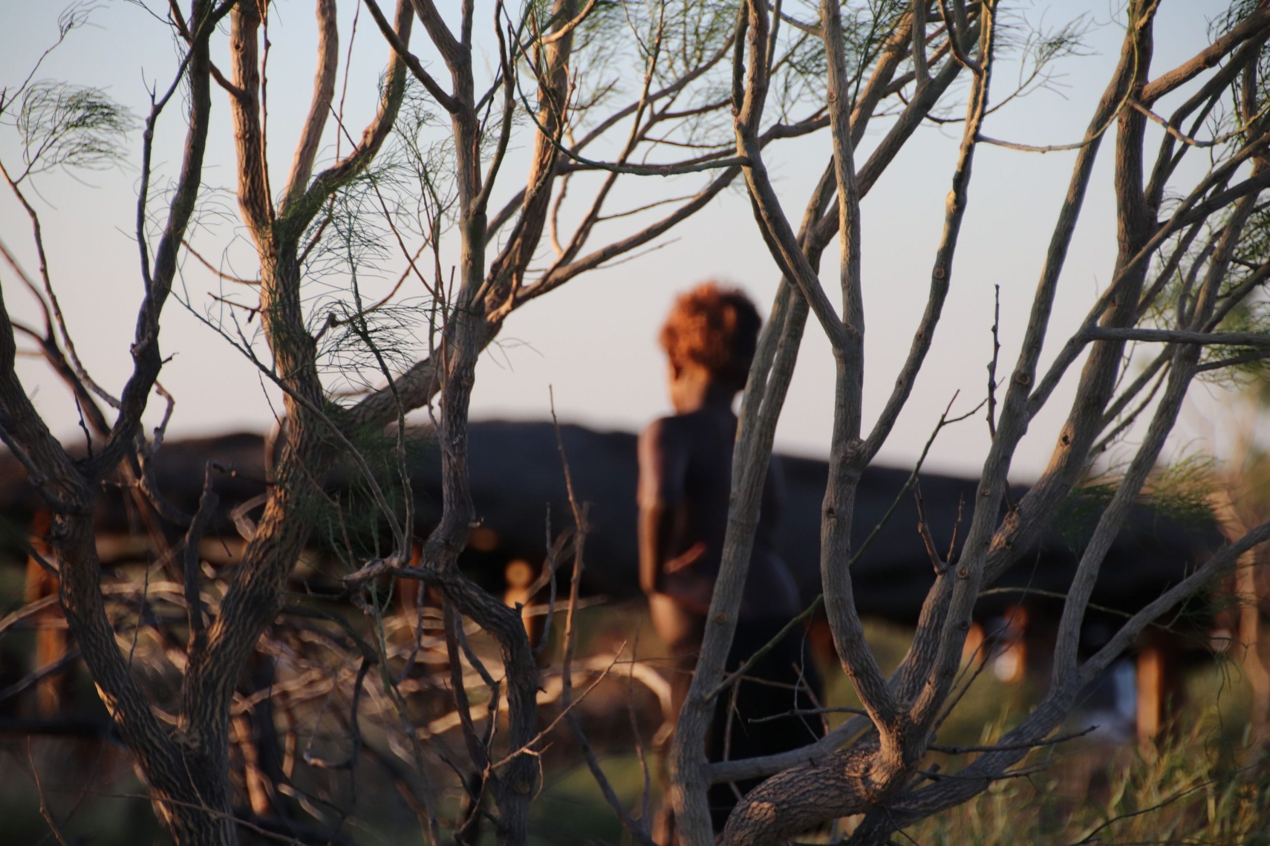 Aboriginal child standing in between trees